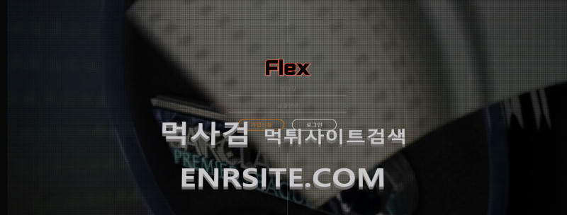 플렉스.12