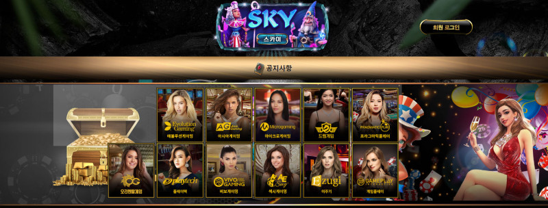 스카이 SKY