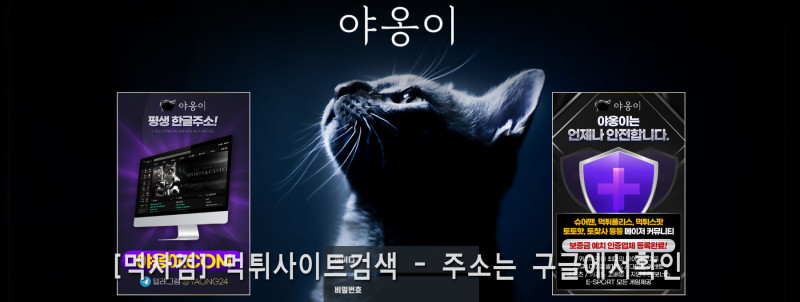 야옹이.com xn--2f5bonp4a.com