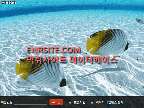 (사이트명).물고기2 toro7979.com