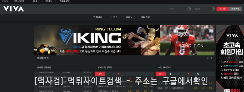 비바.6