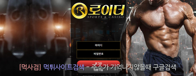 로이더